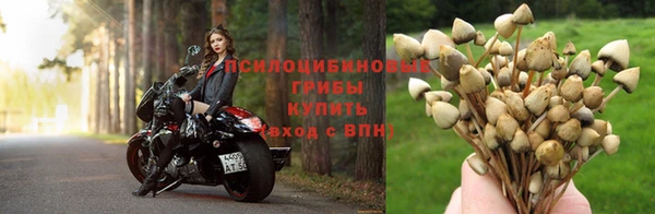 apvp Болхов