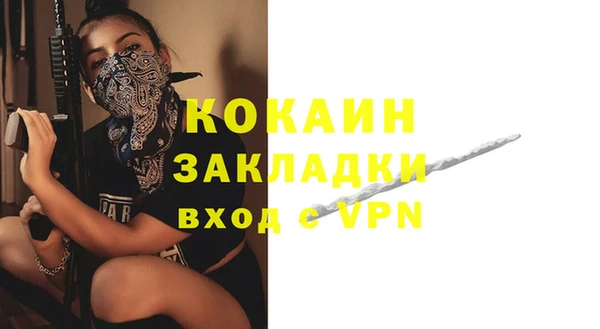 прущие грибы Нея