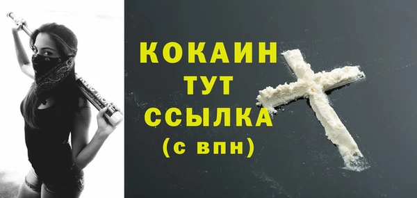 apvp Болхов