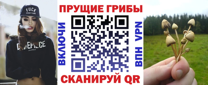 Галлюциногенные грибы Magic Shrooms Пудож